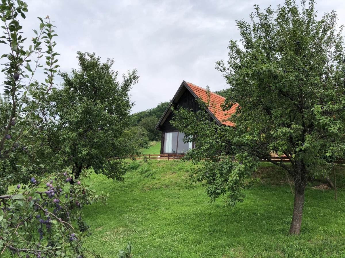 Etno Selo Moj Zavicaj Villa Gornji Milanovac Exterior photo