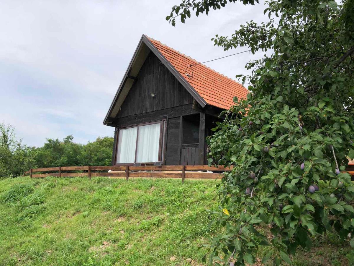 Etno Selo Moj Zavicaj Villa Gornji Milanovac Exterior photo
