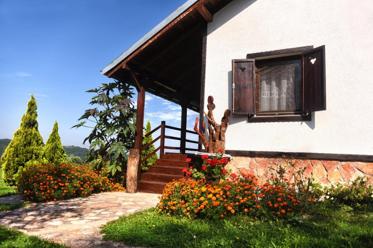 Etno Selo Moj Zavicaj Villa Gornji Milanovac Exterior photo