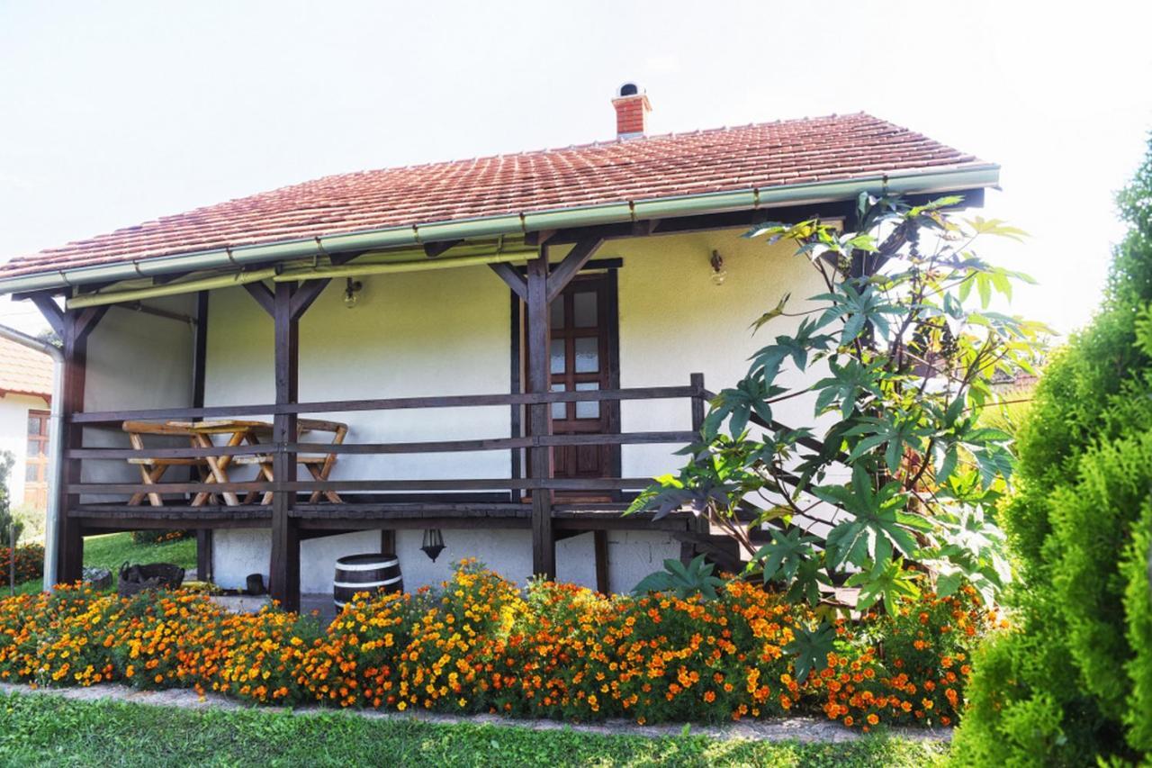 Etno Selo Moj Zavicaj Villa Gornji Milanovac Exterior photo